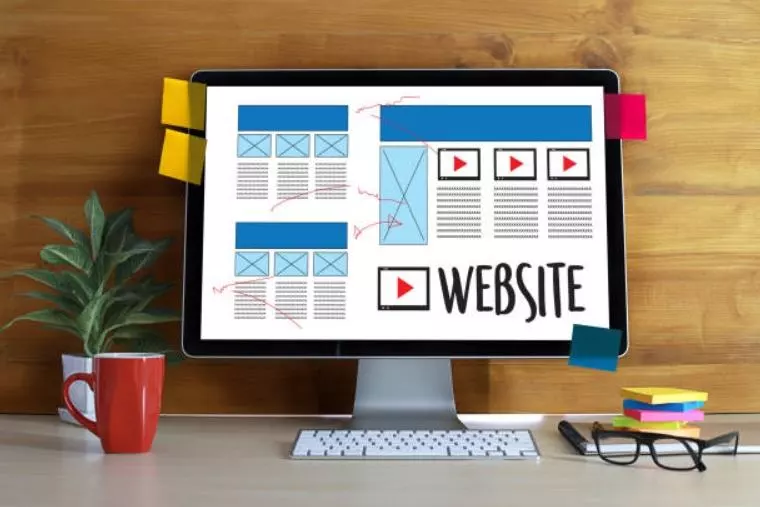 website profesional